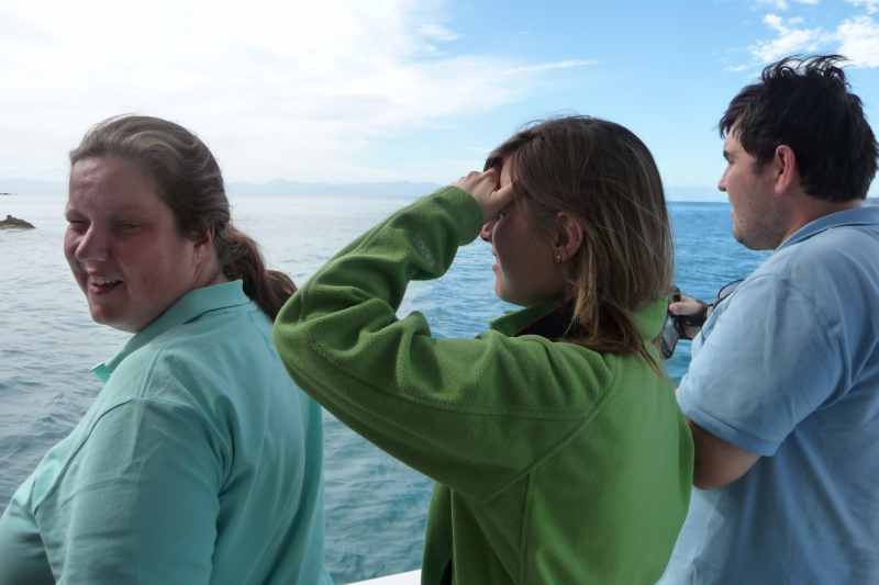 Nieuw-Zeeland 2011 - 0998